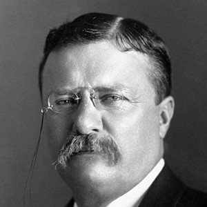 Theodore Roosevelt Ready For Upload